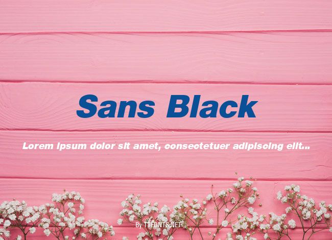 Sans Black example